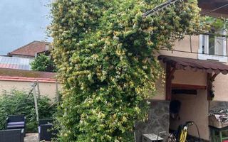 Black Friday Casa 2 corpuri individuale| 30 km de Sibiu | Teren 1500 mp - Poză 4