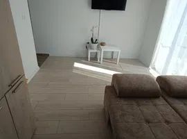 Apartament 1 camera Giroc- Calea Urseni - Poză 2