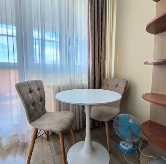 Garsoniera Iancului- Elev Stefanescu - Poză 4