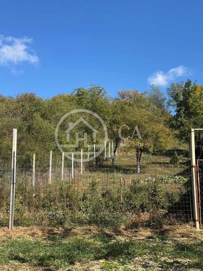 Teren de vânzare in zona de Dealuri, Oradea - Poză 1