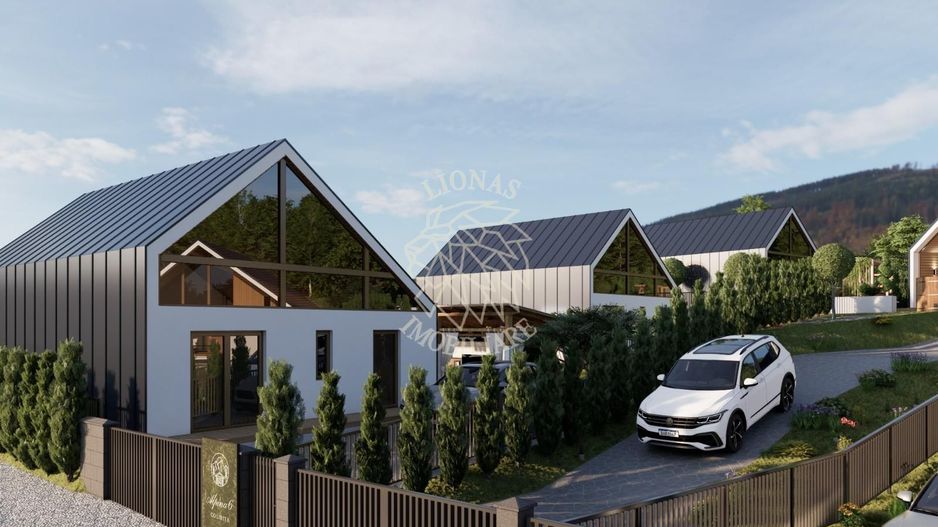 Teren 2.950 mp+ Proiect Resort ALPINA 6 COLIBITA- vedere lac Colibita - Poză 5