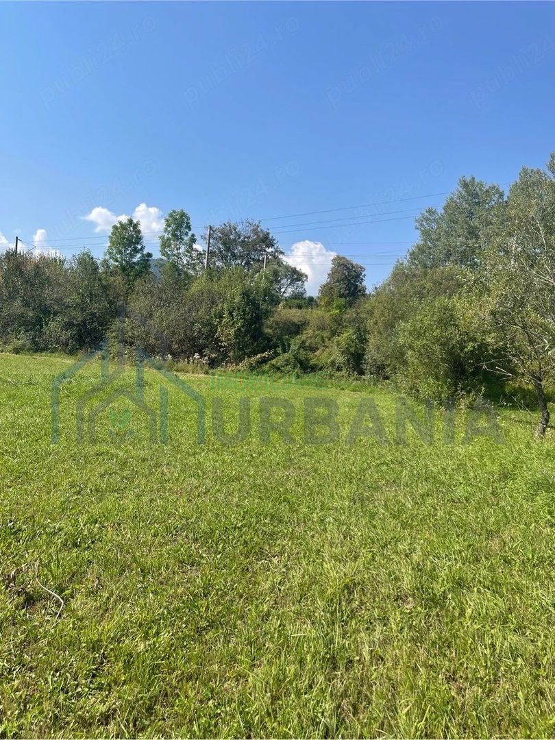 Teren de vânzare, 2.500 mp, Prisaca Dornei, zona Hurghiș, Câmpulung Moldovenesc - Poză 4