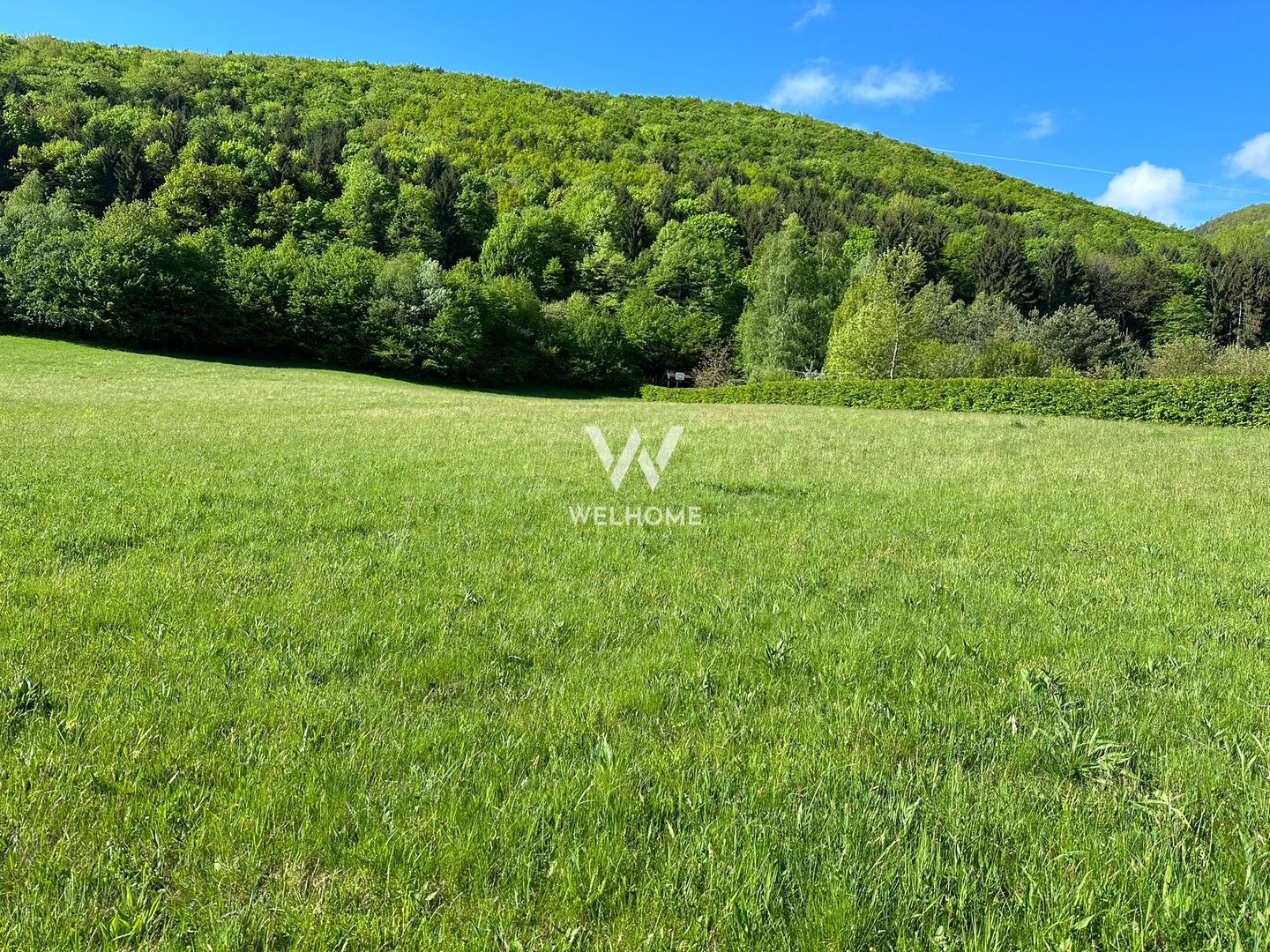 Teren Intravilan in Tocile-priveliste deosebita - Sadu - Sibiu - Poză 7