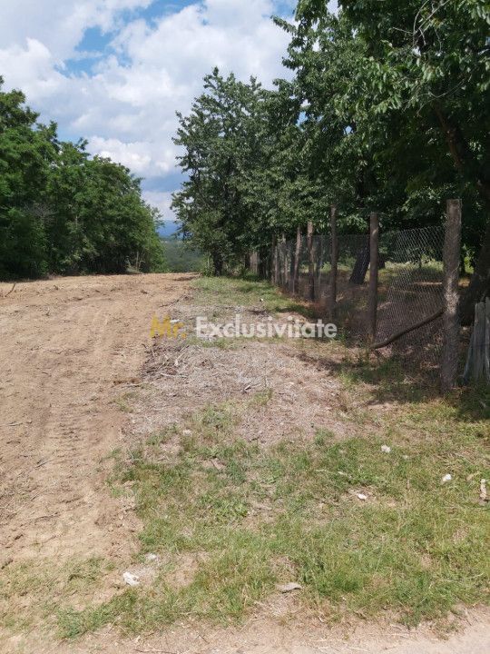 Teren zona montana in com.Turcinesti Jud.Gorj - Poză 5