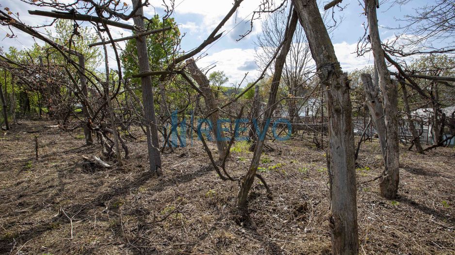 Casă de vânzare în Blăgești, Bacău - Poză 35