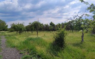 teren intravilan in sag 1271 mp - Poză 2