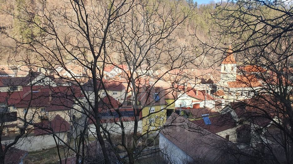 Casa Rustica in marginimea Sibiului - Poză 7