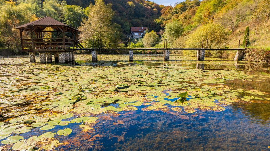 Domeniu în satul Căprioara - Poză 31