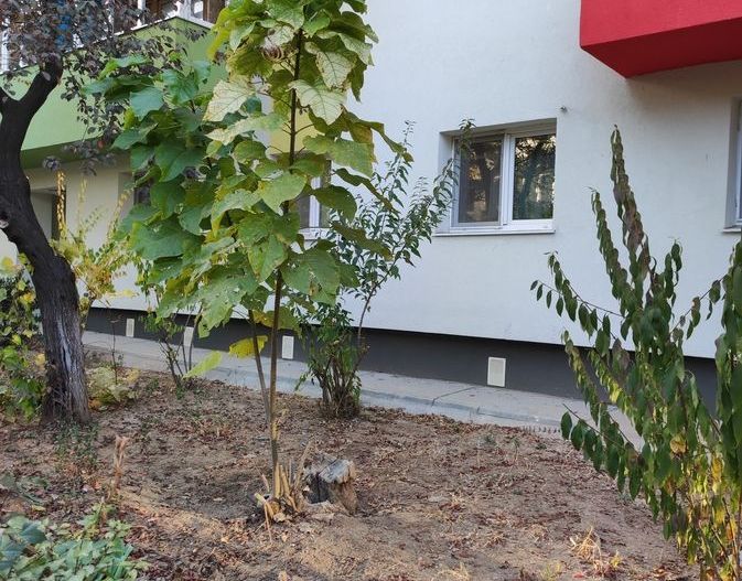 Apartament 3 camere Sebastian BRD - Poză 4