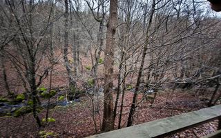 Cabană de vânzare – zona Groapele Chiuzbăii - Poză 21