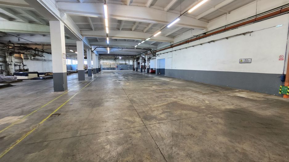 Spatiu industrial productie/ depozitare, Timiș - Poză 3
