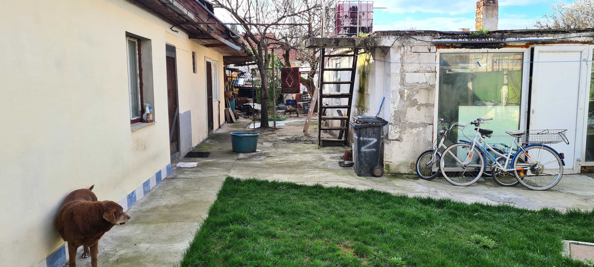 BRASADAS vinde casa 4 csm teren 5 ari zona 14 Msi. - Poză 2
