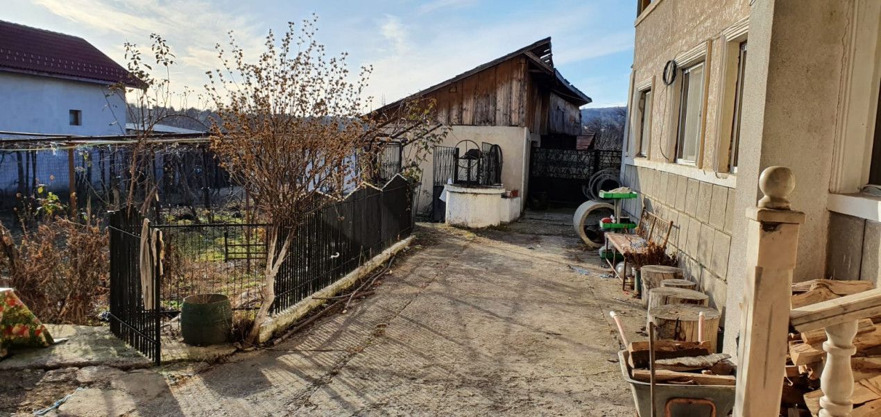 Casă / Pensiune de vânzare – Balta, Gorj  - Poză 18