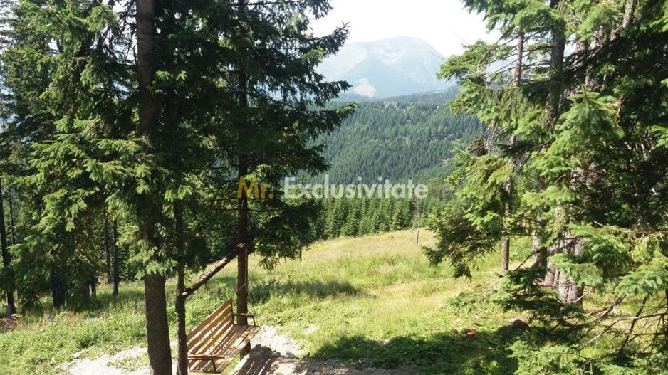 Cabană în Rânca cu 500 mp teren și panoramă impresionantă - Poză 6