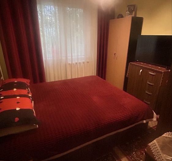 Apartament spatios Doamna Ghica-Radovanu - Poză 3