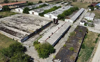 Spațiu industrial -fermă Orțișoara - Poză 16