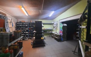 Oportunitate de afacere în satul Boscana - Poză 3