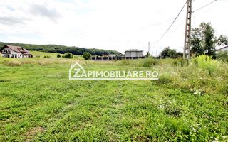Teren 6.800mp teren cu deschidere de 100 m la drum asfaltat - Poză 2