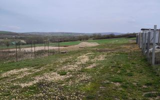 TEREN INTRAVILAN DE VANZARE PALEU - Poză 5