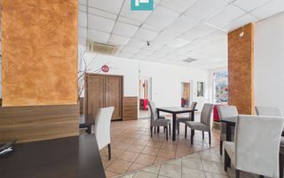Spațiu comercial pentru închiriere, zona Vlaicu - Poză 11