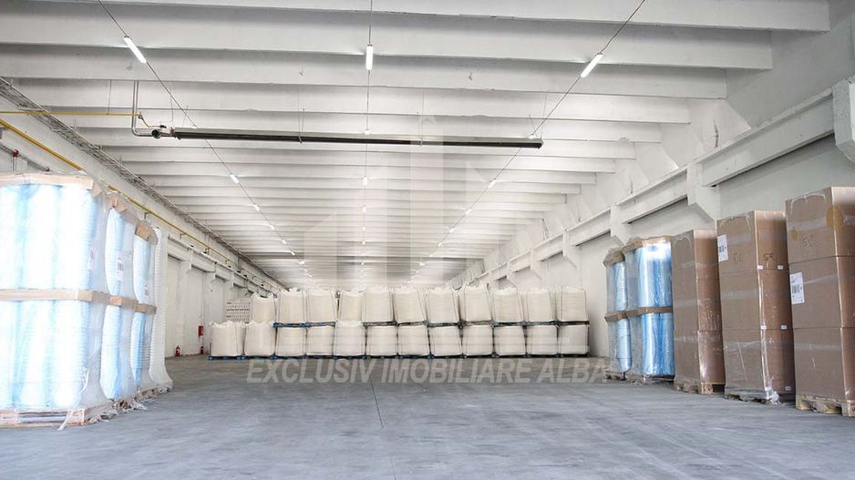Spatiu industrial de inchiriat, Alba Iulia - Poză 5