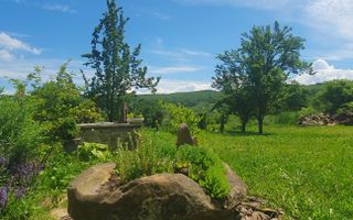 Casa Saseasca de vanzare  in  Somartin  / Comision O % - Poză 18