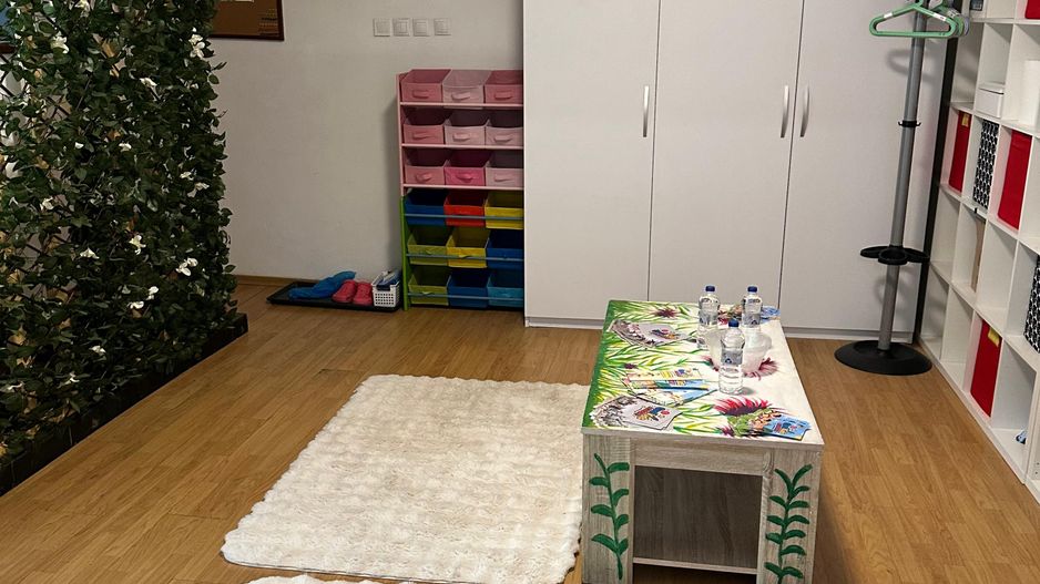 SPATIU COMERCIAL DOMENII, LOC PARCARE, CENTRALA, MOBILAT/UTILAT, CURTE - Poză 11