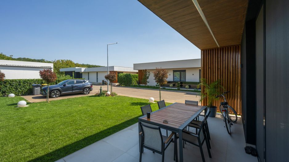 Vila Superba - Snagov Lac - Comunitate - Piscina - Ponton - Poză 35