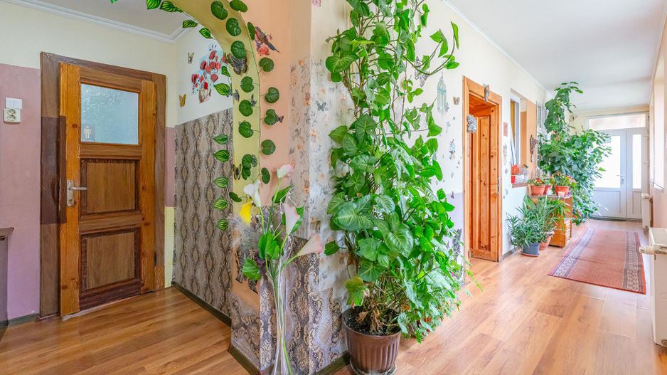 Casa in Sacele dispusa pe un singur nivel - Poză 9