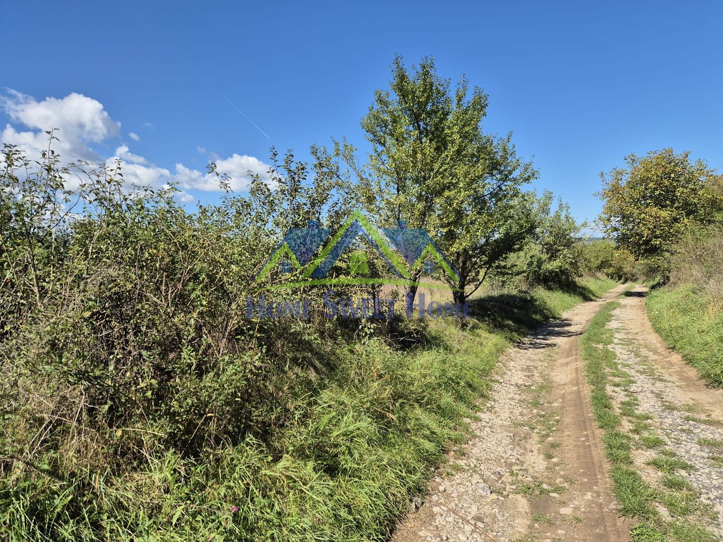 Teren intravilan în zona Lătureni – Buituri, în spatele casei nr. 100! - Poză 8