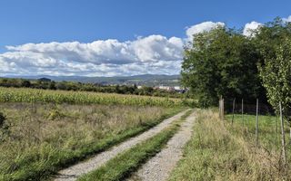 Teren intravilan în zona Lătureni – Buituri, în spatele casei nr. 100! - Poză 10