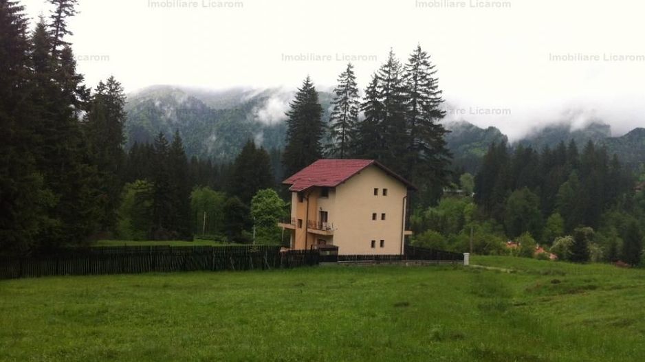 Teren intravilan Cotul Donului,pretabil Hotel/pensiune. - Poză 7