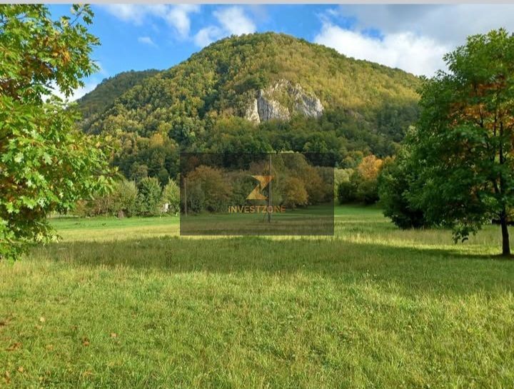 Teren de vis de vanzare in Remeti-Bihor-27p0 mp - Poză 10