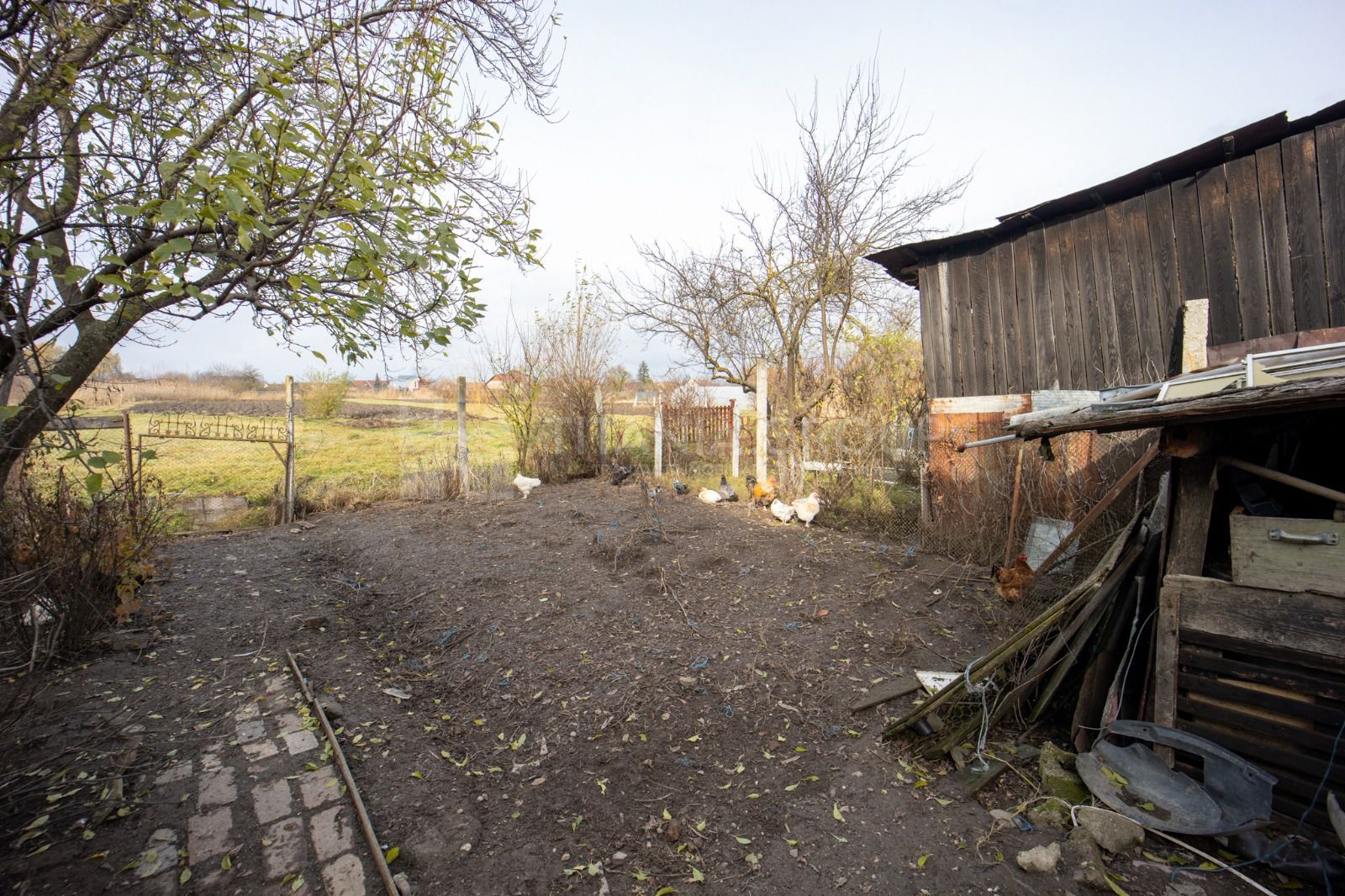 Casa de vanzare, Bod Judetul Brasov - Poză 5