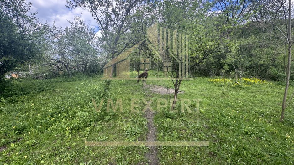 TEREN INTRAVILAN 7018 MP CAMPULUNG - Poză 26