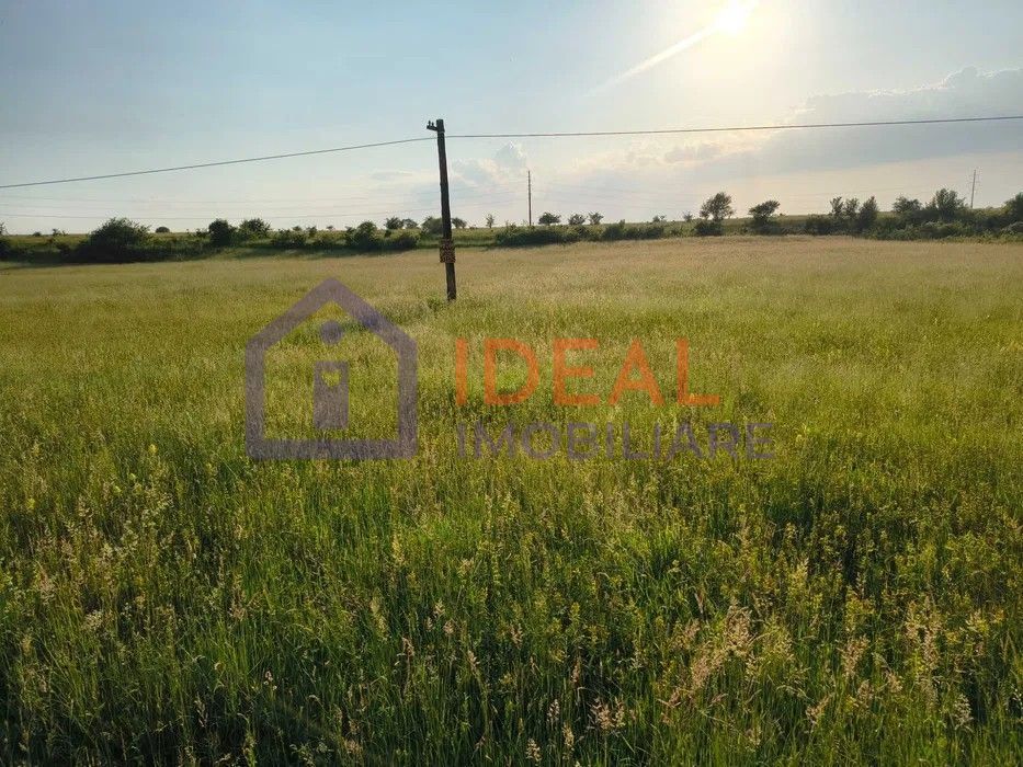 Teren extravilan de vânzare | Cârțișoara | 1800 mp - Poză 3