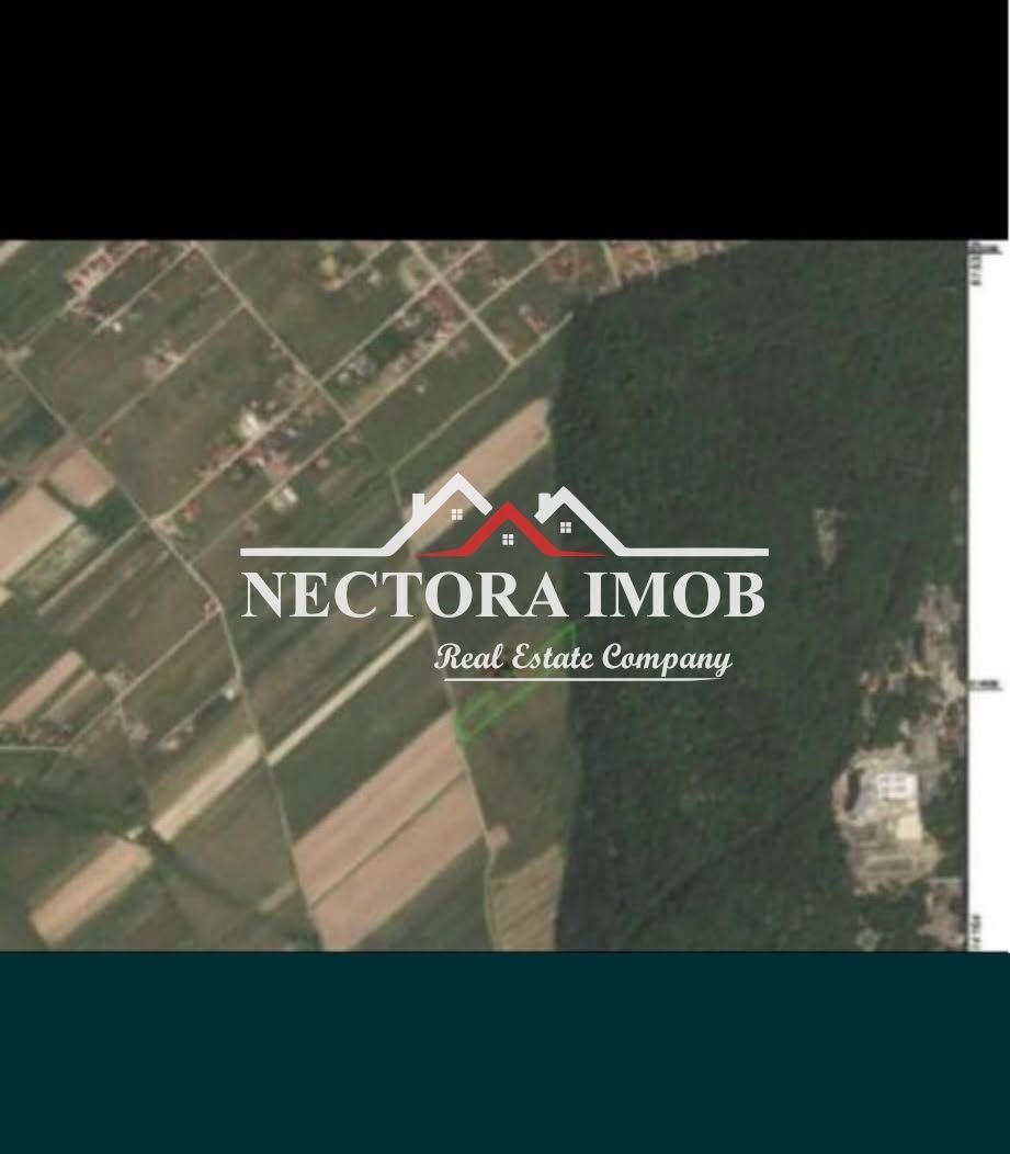 NECTORA IMOB-Teren Intravilan 667 mp, Beverly Hills-Padure Baile Felix - Poză 9
