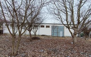 Hala si teren  in Stupini Basov - Poză 2