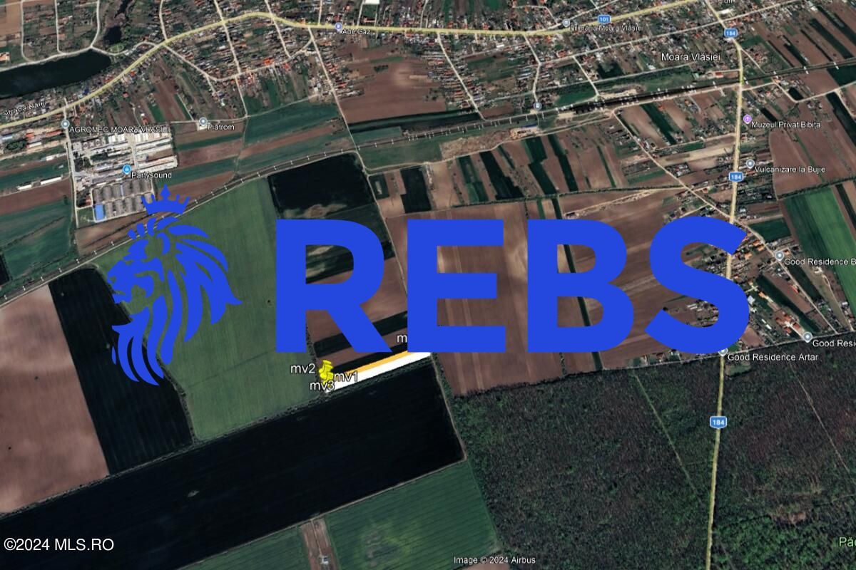 Moara Vlasiei - langa Padurea Biglaru, 11.884 mp, deschidere 40 ml - Poză 13