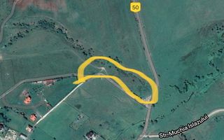 Teren Sohodol 10.000 mp - Poză 7