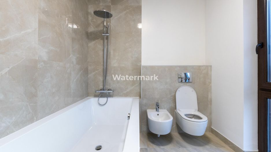 Apartament cu 4 camere de închiriat în zona Alexandru cel Bun - Poză 14