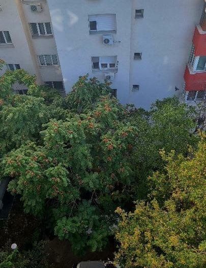 Apartament 3 camere, Clucerului - Poză 7