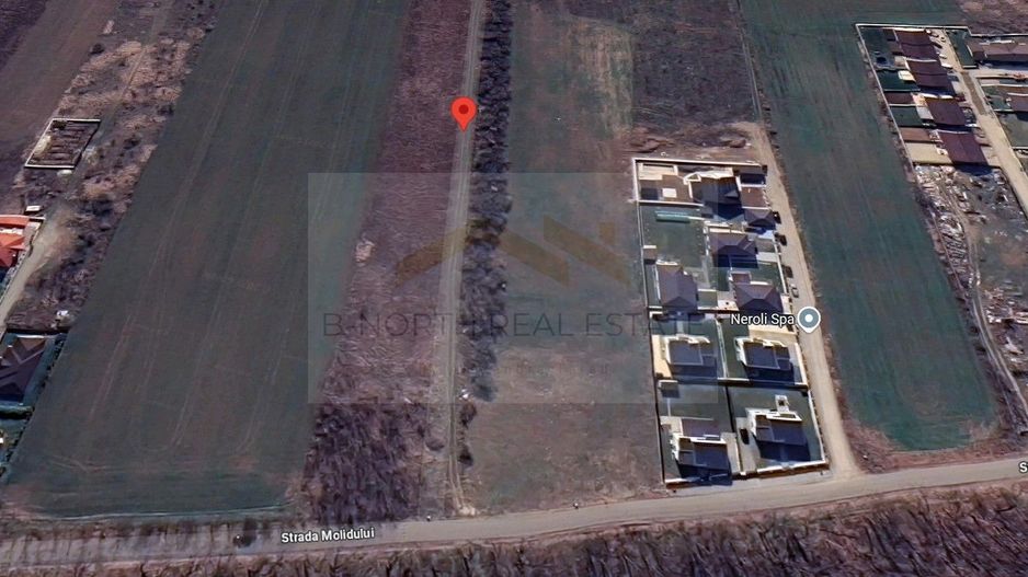 Teren 600 mp str Molidului langa padure - Poză 1