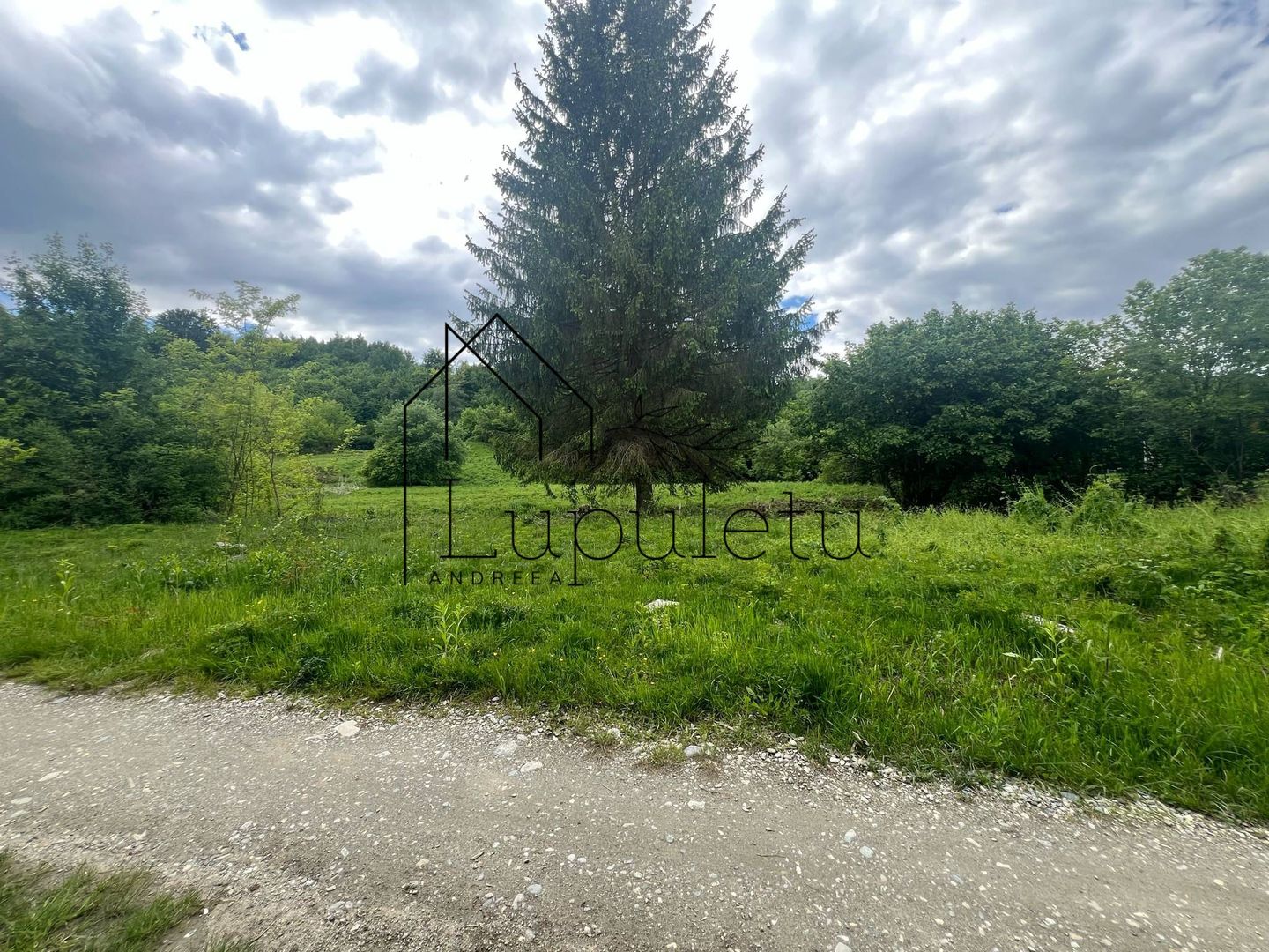 Teren Intravilan – 2.700 mp | Valea Avrigului | Zonă turistică deoseb - Poză 1