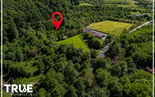 Teren intravilan 2.800 m² în Câmpu Cetății – liniște și natură - Poză 15