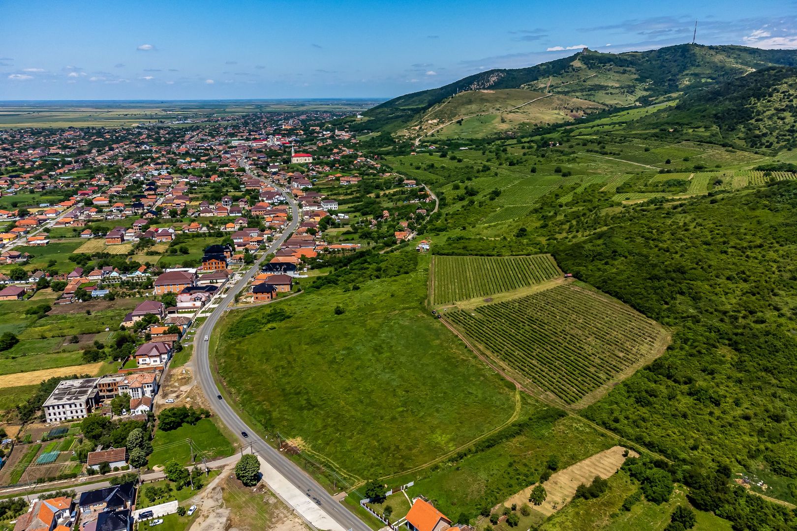 PRET REDUS Oportunitate de afacere, Teren cu vita de vie - Poză 4