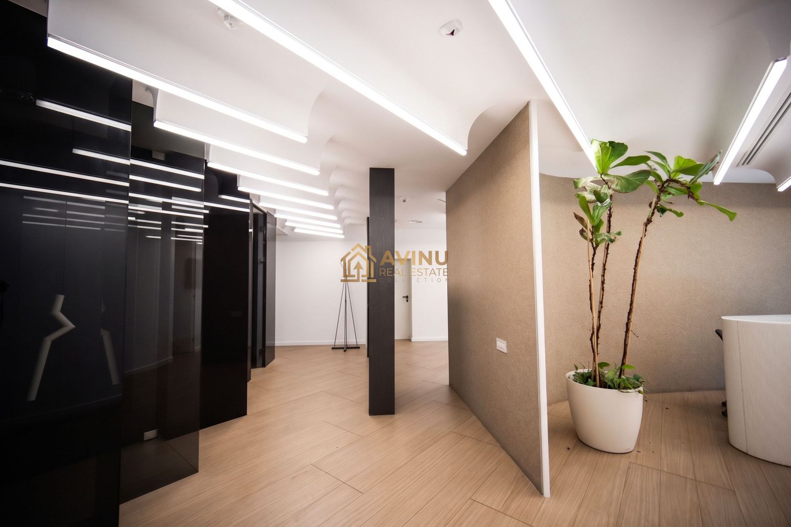 Spațiu Comercial Versatil 356mp în Cortina North | 0% Comision - Poză 14