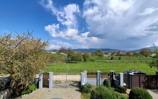 Duplex Zona Linistita Carpinis - Poză 11