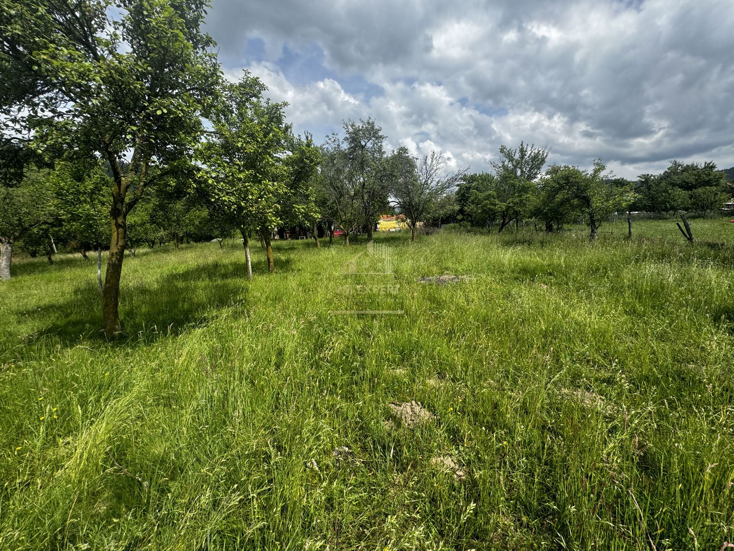 TEREN INTRAVILAN 4600 MP, VOINESTI, LERESTI, ARGEȘ - Poză 12