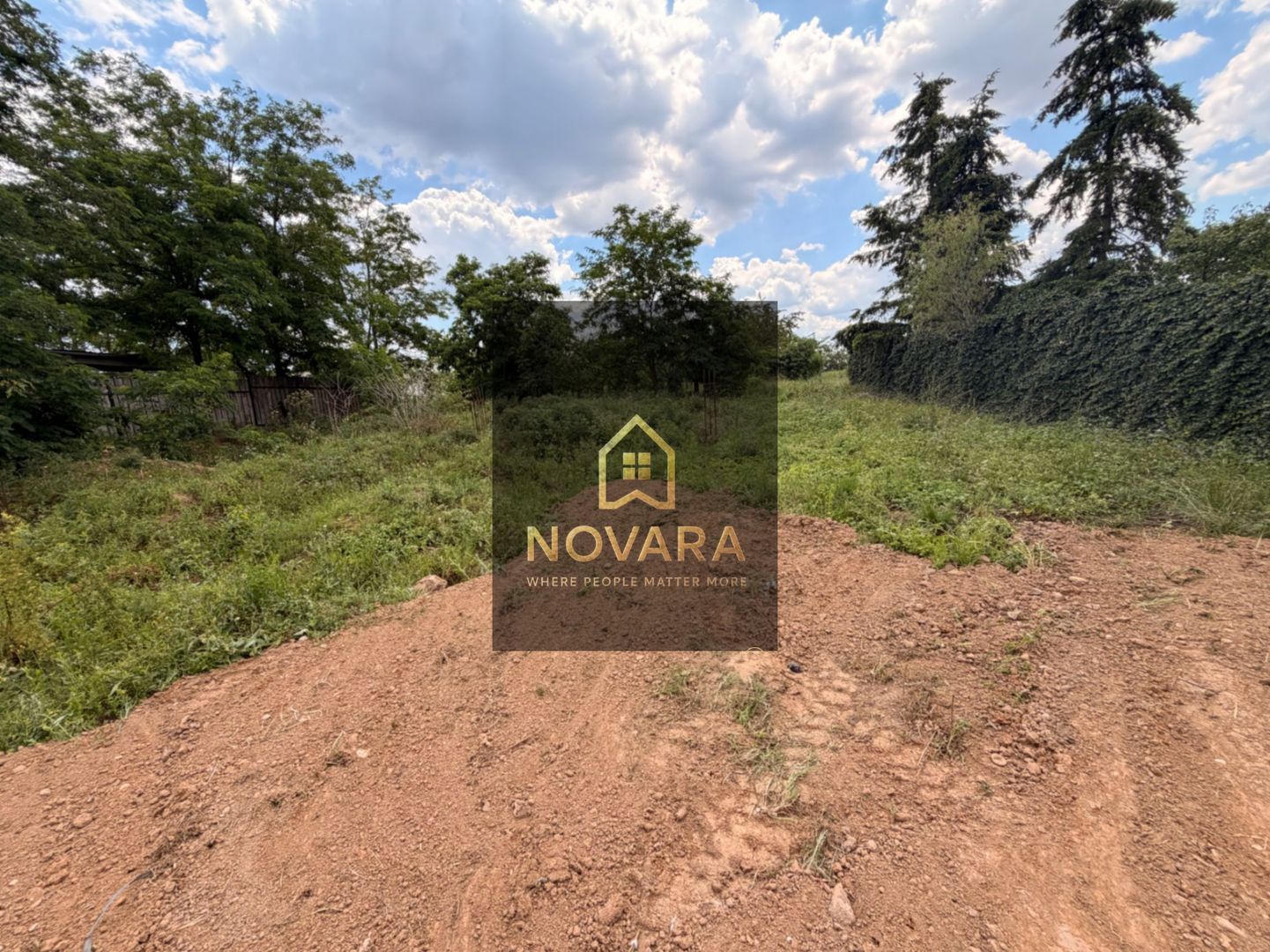 Teren intravilan 550mp de vanzare in Paleu - Poză 4